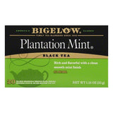 Bigelow Plantation Mint, 20 BG (Pack of 6)